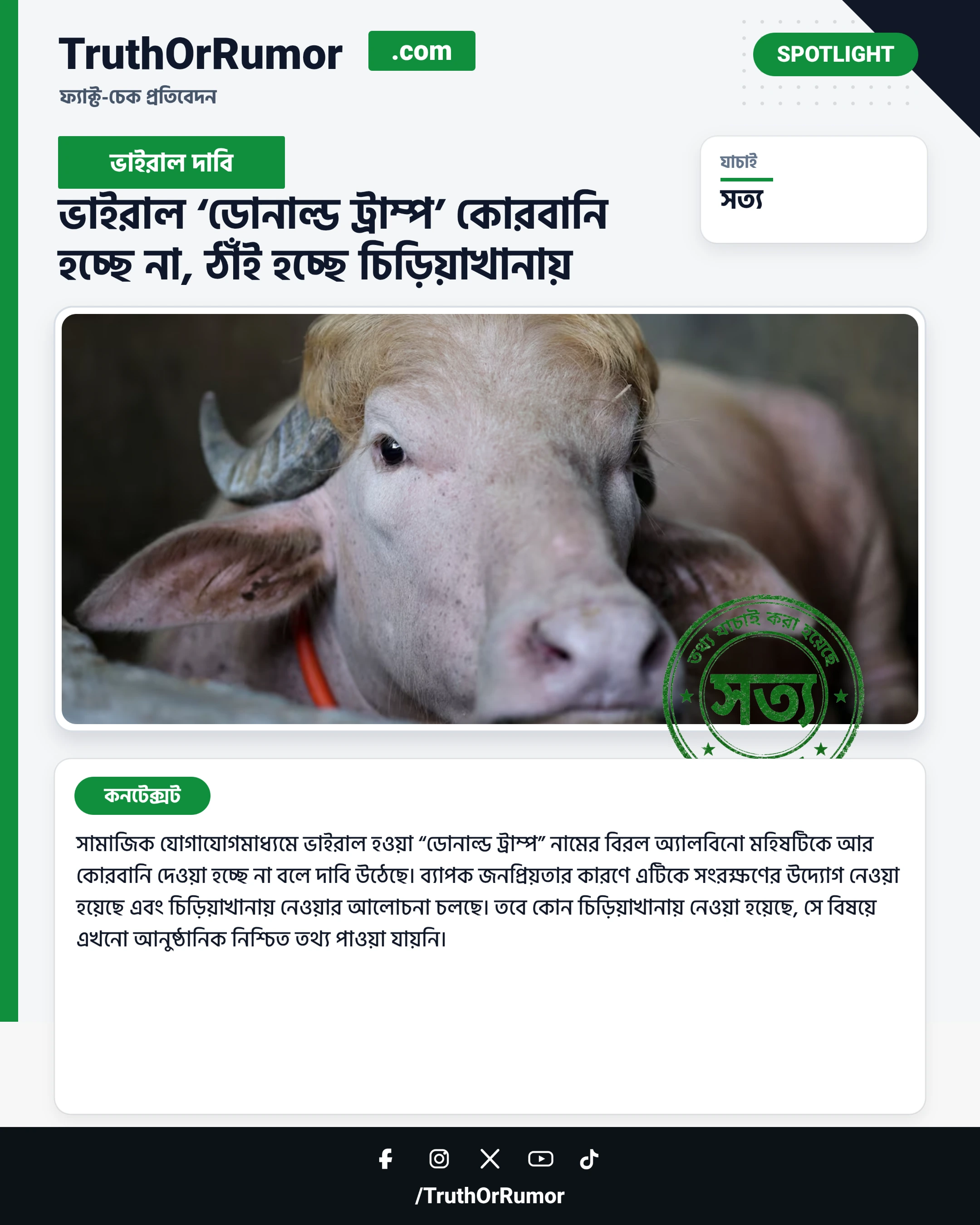 ভাইরাল ‘ডোনাল্ড ট্রাম্প’ কোরবানি হচ্ছে না, ঠাঁই হচ্ছে চিড়িয়াখানায়